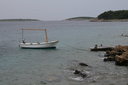 gal/cro 08/_thb_small-IMG_5377.JPG